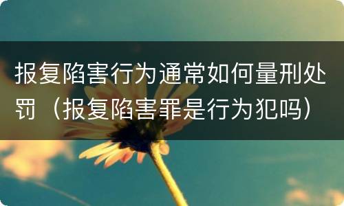 报复陷害行为通常如何量刑处罚（报复陷害罪是行为犯吗）