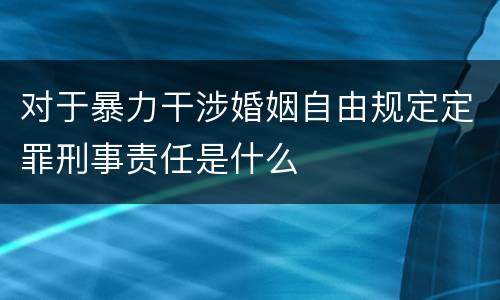 对于暴力干涉婚姻自由规定定罪刑事责任是什么