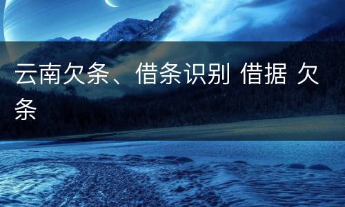 云南欠条、借条识别 借据 欠条