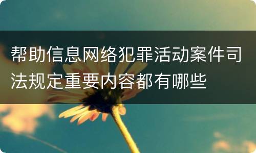 帮助信息网络犯罪活动案件司法规定重要内容都有哪些