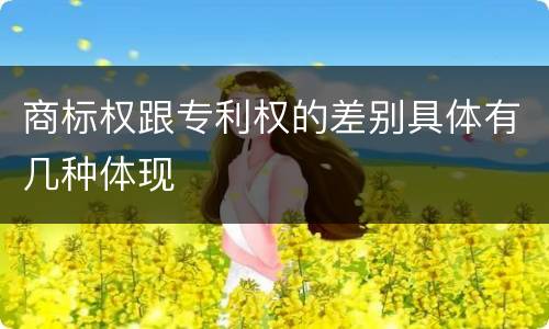 商标权跟专利权的差别具体有几种体现
