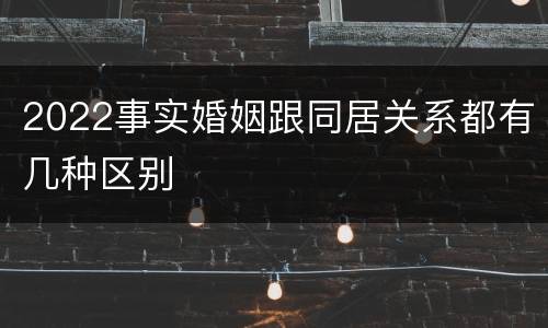 2022事实婚姻跟同居关系都有几种区别