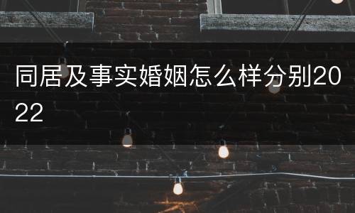 同居及事实婚姻怎么样分别2022