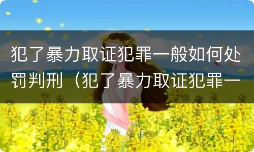 犯了暴力取证犯罪一般如何处罚判刑（犯了暴力取证犯罪一般如何处罚判刑多久）