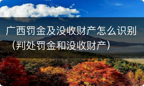 广西罚金及没收财产怎么识别（判处罚金和没收财产）