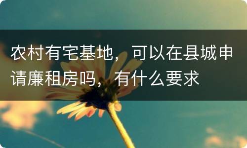 农村有宅基地，可以在县城申请廉租房吗，有什么要求