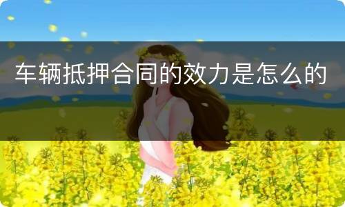 车辆抵押合同的效力是怎么的