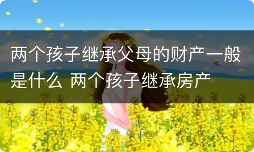 两个孩子继承父母的财产一般是什么 两个孩子继承房产