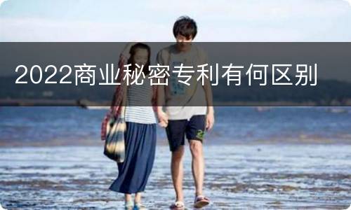 2022商业秘密专利有何区别