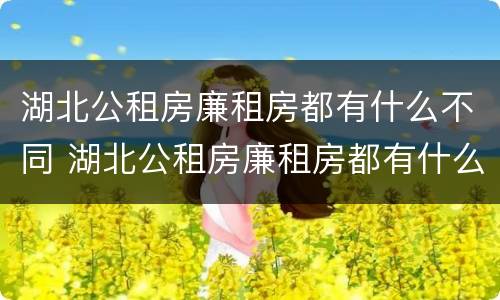 湖北公租房廉租房都有什么不同 湖北公租房廉租房都有什么不同的地方