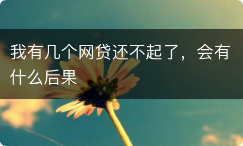 我有几个网贷还不起了，会有什么后果