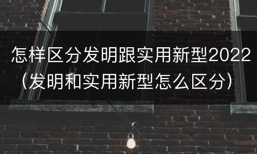 怎样区分发明跟实用新型2022（发明和实用新型怎么区分）