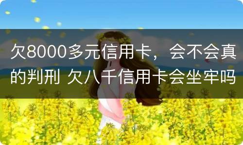 欠8000多元信用卡，会不会真的判刑 欠八千信用卡会坐牢吗