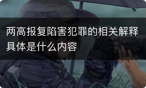 两高报复陷害犯罪的相关解释具体是什么内容