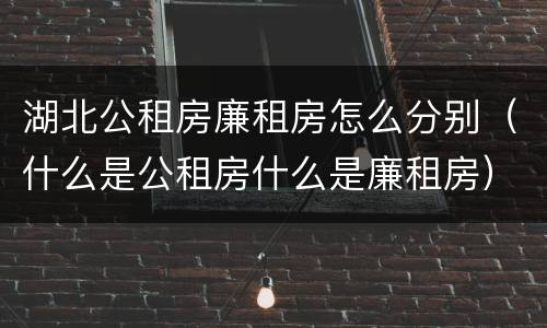 湖北公租房廉租房怎么分别（什么是公租房什么是廉租房）