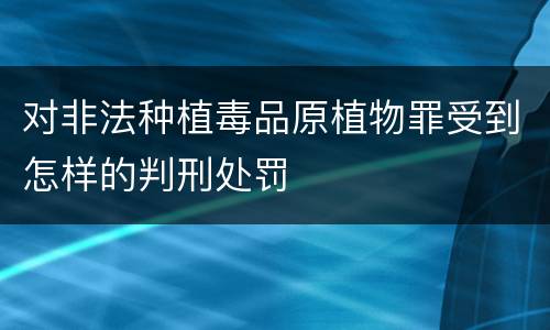 对非法种植毒品原植物罪受到怎样的判刑处罚