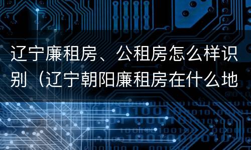 辽宁廉租房、公租房怎么样识别（辽宁朝阳廉租房在什么地方）