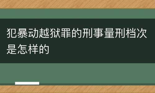 犯暴动越狱罪的刑事量刑档次是怎样的
