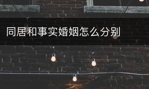 同居和事实婚姻怎么分别