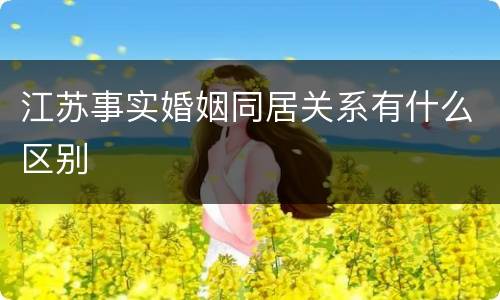 江苏事实婚姻同居关系有什么区别