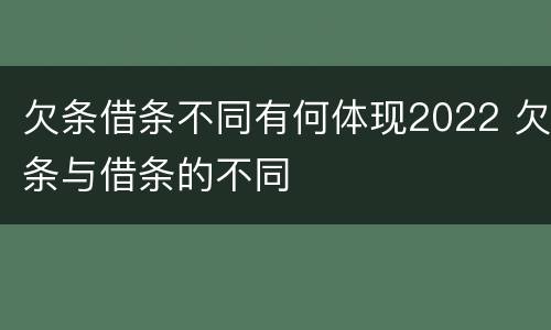 欠条借条不同有何体现2022 欠条与借条的不同