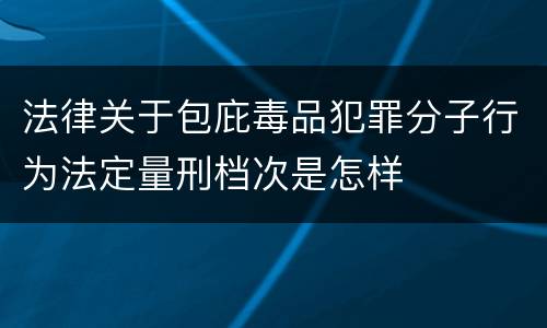 法律关于包庇毒品犯罪分子行为法定量刑档次是怎样