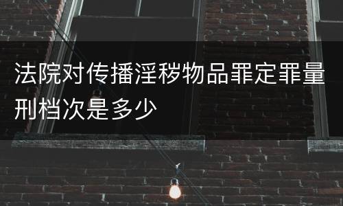 法院对传播淫秽物品罪定罪量刑档次是多少