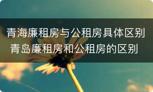 青海廉租房与公租房具体区别 青岛廉租房和公租房的区别