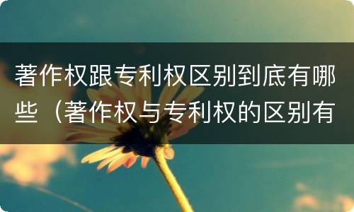 著作权跟专利权区别到底有哪些（著作权与专利权的区别有哪些）