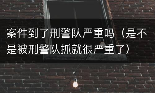 案件到了刑警队严重吗（是不是被刑警队抓就很严重了）