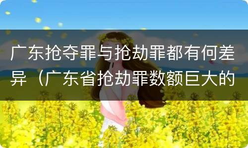 广东抢夺罪与抢劫罪都有何差异（广东省抢劫罪数额巨大的标准）