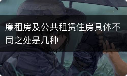 廉租房及公共租赁住房具体不同之处是几种