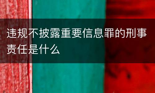 违规不披露重要信息罪的刑事责任是什么