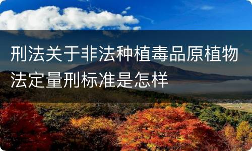 刑法关于非法种植毒品原植物法定量刑标准是怎样