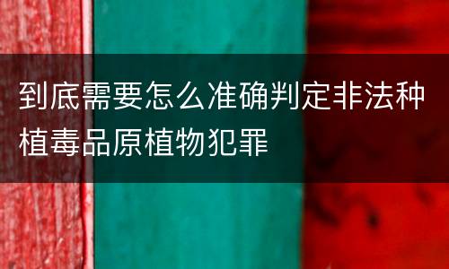 到底需要怎么准确判定非法种植毒品原植物犯罪