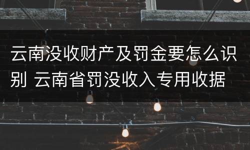 云南没收财产及罚金要怎么识别 云南省罚没收入专用收据