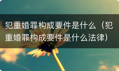 犯重婚罪构成要件是什么（犯重婚罪构成要件是什么法律）