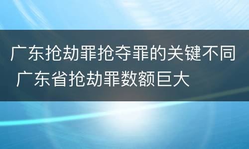广东抢劫罪抢夺罪的关键不同 广东省抢劫罪数额巨大