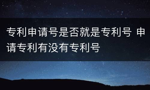 专利申请号是否就是专利号 申请专利有没有专利号