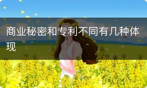 商业秘密和专利不同有几种体现