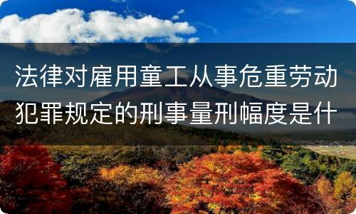 法律对雇用童工从事危重劳动犯罪规定的刑事量刑幅度是什么