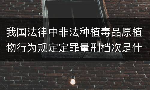 我国法律中非法种植毒品原植物行为规定定罪量刑档次是什么