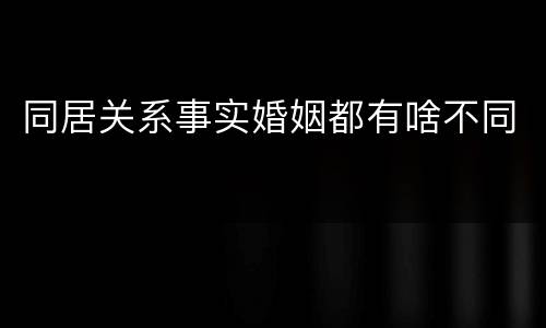 同居关系事实婚姻都有啥不同