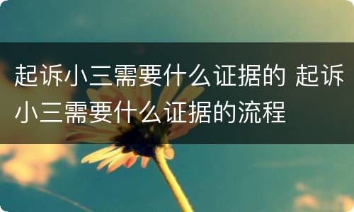 起诉小三需要什么证据的 起诉小三需要什么证据的流程