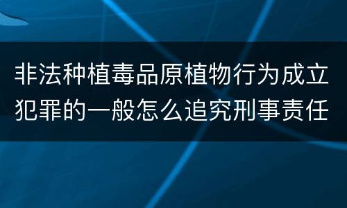 非法种植毒品原植物行为成立犯罪的一般怎么追究刑事责任