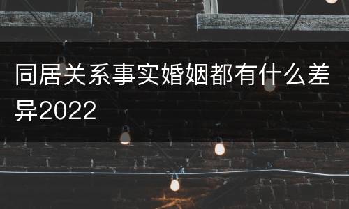 同居关系事实婚姻都有什么差异2022