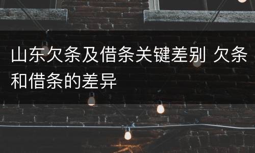 山东欠条及借条关键差别 欠条和借条的差异