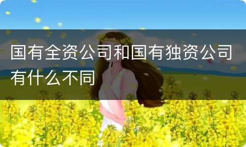 国有全资公司和国有独资公司有什么不同