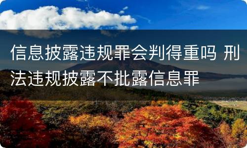 信息披露违规罪会判得重吗 刑法违规披露不批露信息罪