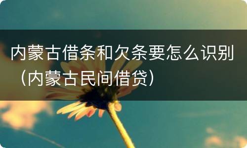 内蒙古借条和欠条要怎么识别（内蒙古民间借贷）
